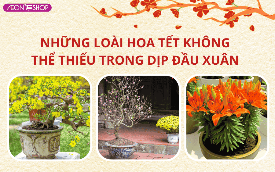 Hoa tết