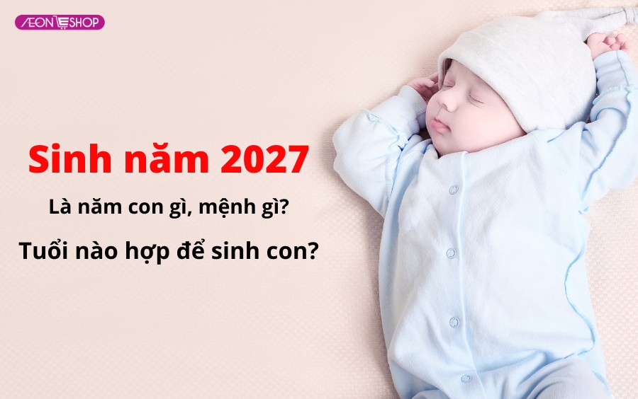 Sinh năm 2027 là năm con gì mệnh gì