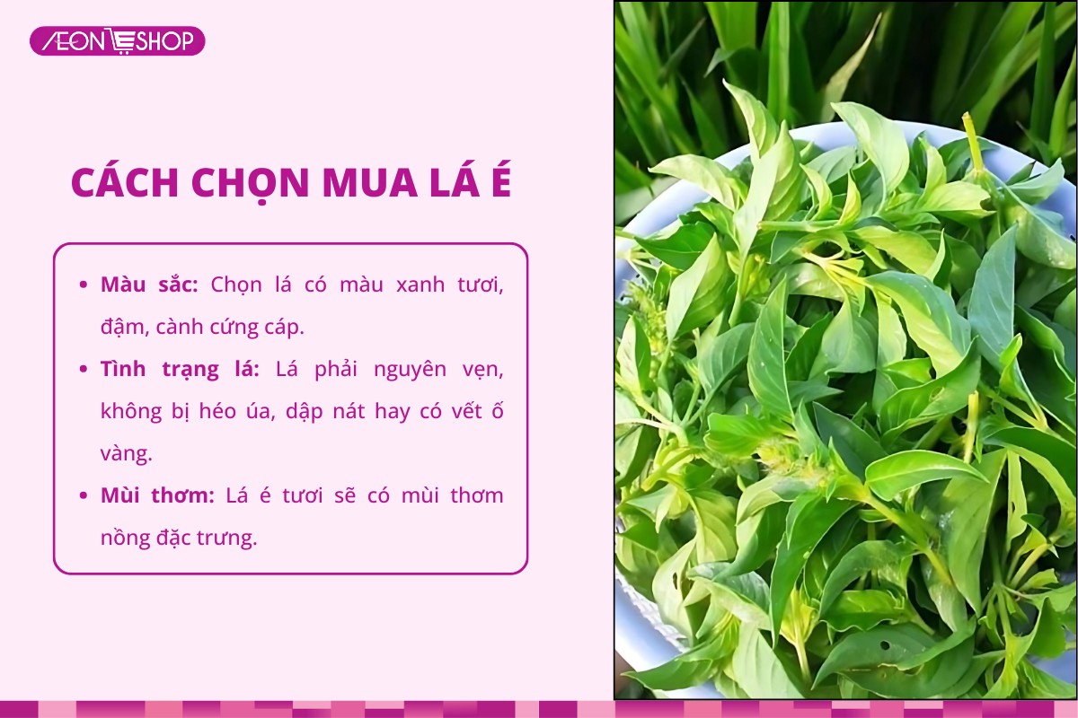 Cách chọn lá é tươi ngon chế biến lẩu