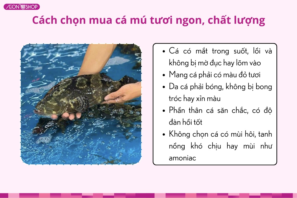 mẹo lựa chọn cá mú