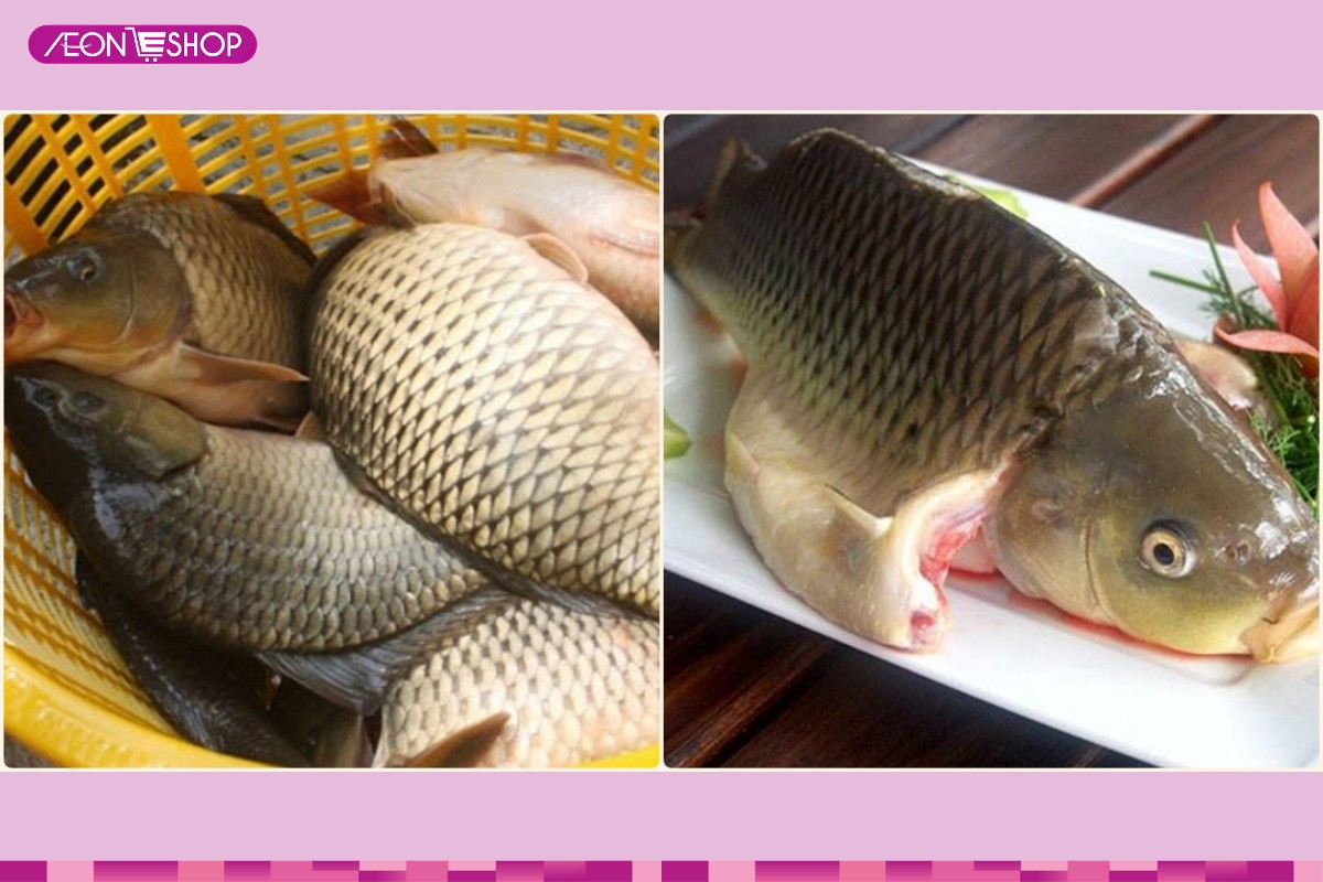 Bí quyết chọn mua cá chép tươi ngon